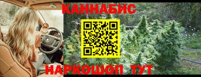 PSILOCYBIN Будённовск